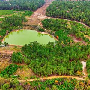 dji_20251029144956_0077_d