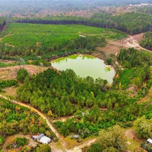 dji_20251029144554_0047_d