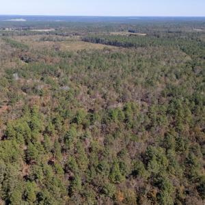 4-web-or-mls-DJI_20251022125353_0153_D