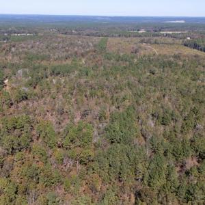 5-web-or-mls-DJI_20251022125419_0154_D