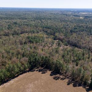 9-web-or-mls-DJI_20251022130002_0159_D