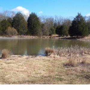 Photo #3 of SOLD property in 12149 OLD GRASSDALE RD, REMINGTON, VA 70.6 acres