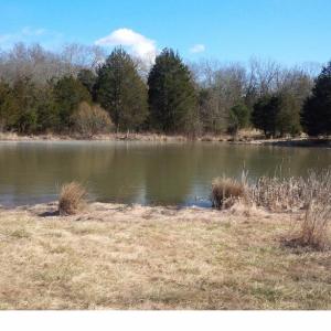 Photo #4 of SOLD property in 12149 OLD GRASSDALE RD, REMINGTON, VA 70.6 acres