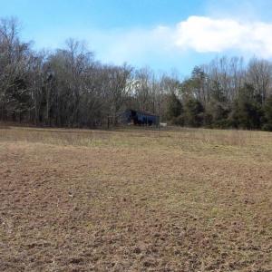 Photo #5 of SOLD property in 12149 OLD GRASSDALE RD, REMINGTON, VA 70.6 acres
