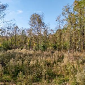 10-106 Rolling Hills Ct 10