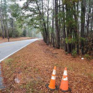 4504f501-b3bf-4307-9ce6-06f9d7ed11b3