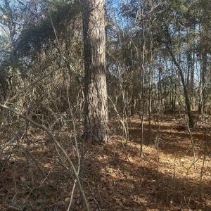 20251211214704040075000000-o