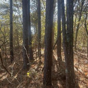 20251211215740862672000000-o