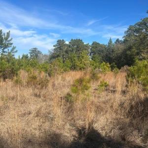 20251211221640347162000000-o