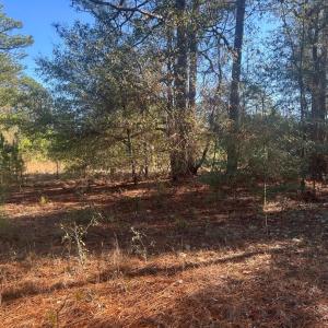 20251211221604134489000000-o