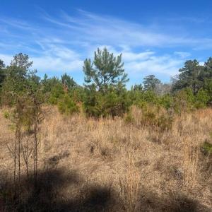 20251211221650643802000000-o