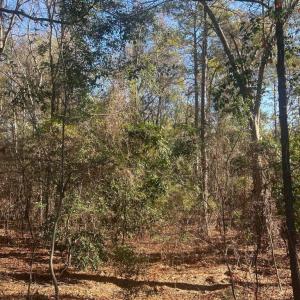 20251211213501546433000000-o