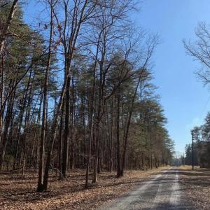 Photo #7 of SOLD property in COURTHOUSE ROAD, CATLETT, VA 18.5 acres