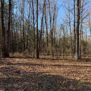 Photo #5 of SOLD property in COURTHOUSE ROAD, CATLETT, VA 18.5 acres
