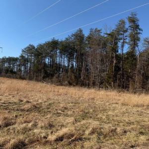 Photo #1 of SOLD property in COURTHOUSE ROAD, CATLETT, VA 18.5 acres