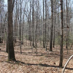 Photo #3 of SOLD property in UNION CHURCH RD, SUMERDUCK, VA 28.6 acres