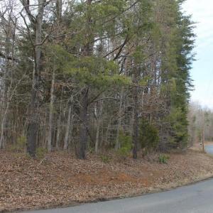 Photo #6 of SOLD property in UNION CHURCH RD, SUMERDUCK, VA 28.6 acres