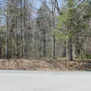 Photo #7 of SOLD property in UNION CHURCH RD, SUMERDUCK, VA 28.6 acres