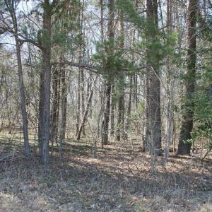 Photo #13 of SOLD property in UNION CHURCH RD, SUMERDUCK, VA 28.6 acres