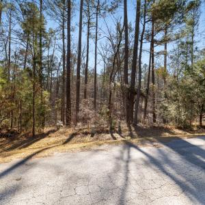 2025-12-30_butler_pt-srm-02