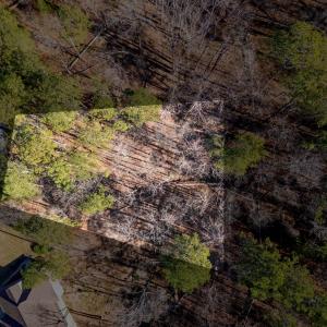 089-01-59-016_photo2