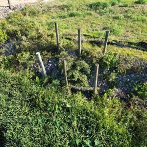 20230922152313973205000000-o