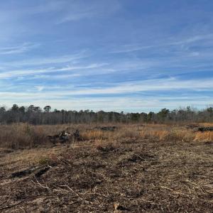 20260113162540849606000000-o