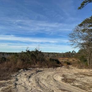 20260113162528724022000000-o