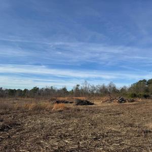 20260113162549108664000000-o