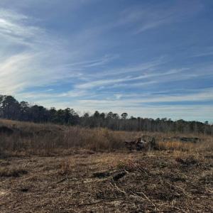 20260113162532921011000000-o