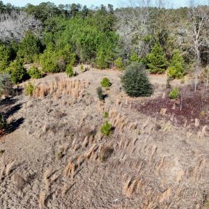 20260120192747334882000000-o