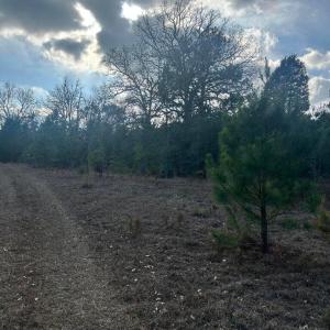 20260107210333657001000000-o