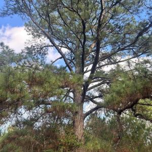 20260107210456306264000000-o