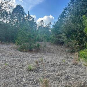 20260107210319822678000000-o