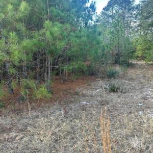 20260107210357093797000000-o