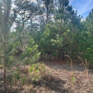 20260107210440732777000000-o