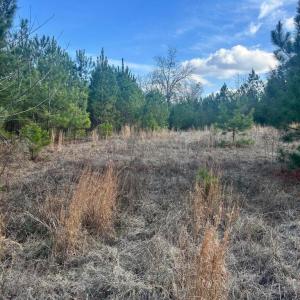 20260107210324594193000000-o