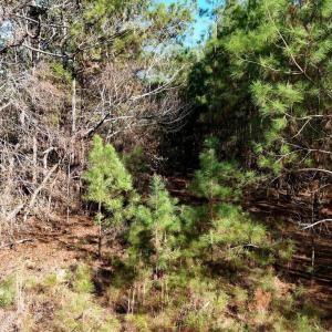 20260120192924249167000000-o