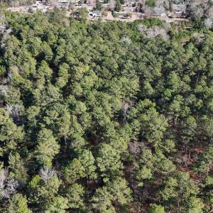 20260120192841268577000000-o