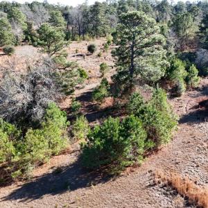 20260120192936210706000000-o