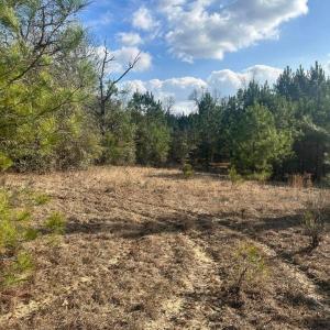 20260107210316905530000000-o