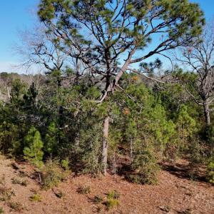 20260120193011105907000000-o