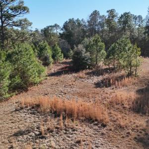 20260120192949489846000000-o