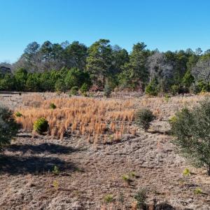 20260120192815292056000000-o