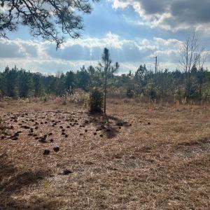 20260107210417020482000000-o