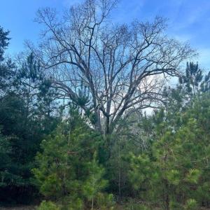 20260107210329083683000000-o