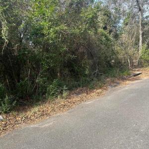 20260122181818565848000000-o