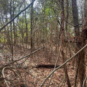 20260122181716495635000000-o