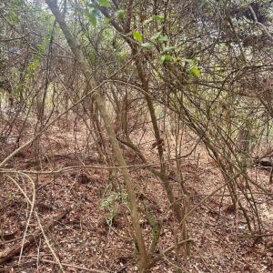 20260122181632894998000000-o