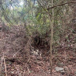 20260122181609706108000000-o